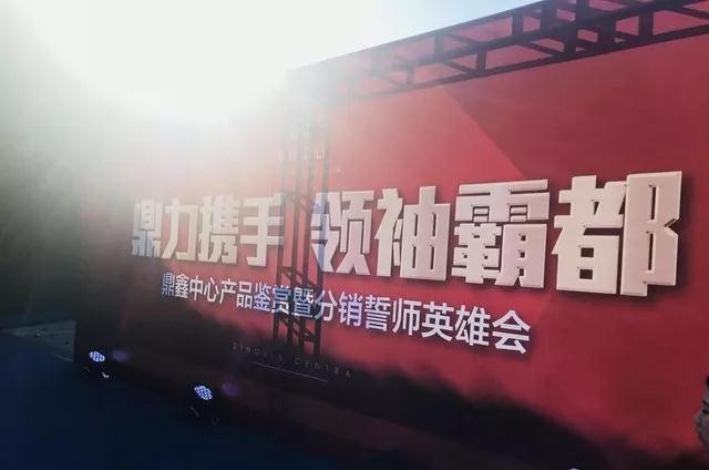鼎力攜手，領(lǐng)袖霸都！合肥鼎鑫中心產(chǎn)品鑒賞暨分銷誓師英雄會(huì)圓滿落幕！