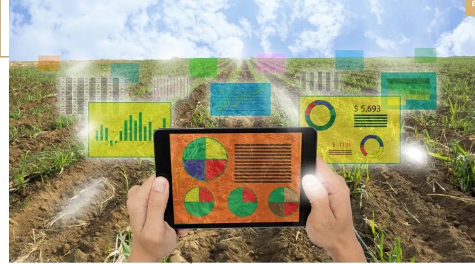 馬云說“致富未來在農(nóng)村”,那么農(nóng)村未來的致富人群是哪類人？