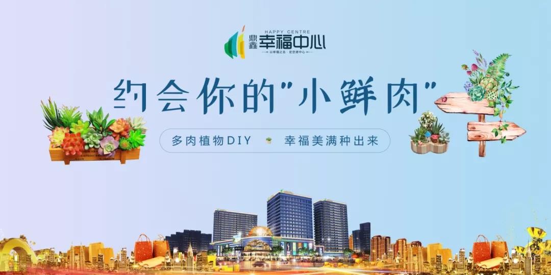 約會(huì)你的“小鮮肉” 多肉植物DIY，幸福美滿種出來(lái)