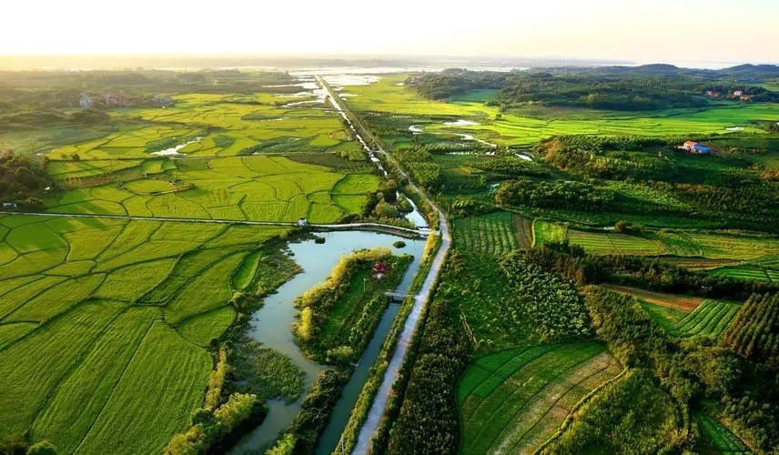 鄉(xiāng)村振興背景下，有機農(nóng)業(yè)3.0時代的思考