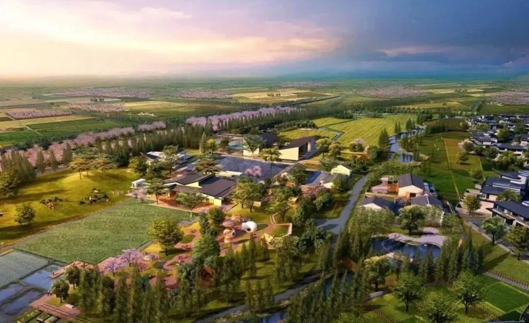 全文！鄉(xiāng)村建設(shè)行動(dòng)實(shí)施方案