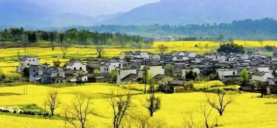 國務(wù)院總理李強(qiáng)：全面推進(jìn)鄉(xiāng)村振興要關(guān)注三個關(guān)鍵詞